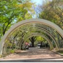 한봉수의병장 송공비 이미지