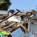 알피넷자원 이미지