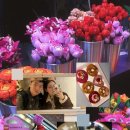 갯목마을 이미지