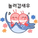 하트꽃화원 이미지