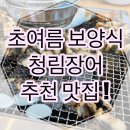 청림 | 아이와 함께한 보양식 외식, 경기 광주 청림장어 솔직 후기