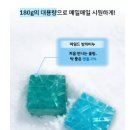 샐리솝