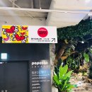 (주)네오팝 | 용산 대원뮤지엄 로메로 브리토 Color of Winderland 특별展 전시회 후기