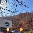 신야춘추 | 사찰음식 전문점 [신야춘추] 방문 후기