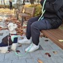 윤재오토바이