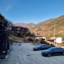 지리산하늘펜션 | [구례] 지리산 피아골 계곡 옆, 깨끗하고 친절한 애견동반 펜션 추천! '구례 야생화 펜션' 후기