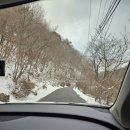 무주 덕유산 자연휴양림 연립동 8인실 잣나무 후기