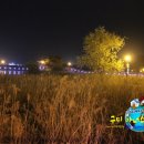 문성공원 네이버블로그