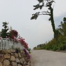 한일농원