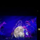 토끼랑 | 제주 아르떼뮤지엄 입장권 달토끼 특별전 제주패스 할인 후기 2026