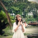 비디오랜드 이미지