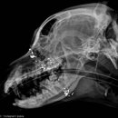 아서농장 이미지