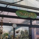 가시와다육이 이미지