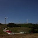 야생화답사 이미지