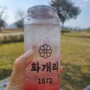 화개리1972 이미지