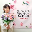 용인대필승태권도 이미지