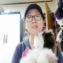 더벅머리 - 제주시 중앙로24길 13 | 더벅머리