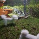 달보라 펜션 | 하늘보라 여수펜션-달객실에서 즐긴 가족여행 후기🌅🐾