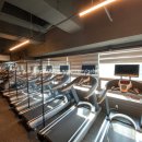 골져스 피트니스 이미지