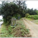 수원-1590 이미지