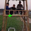 정자 포토존 이미지