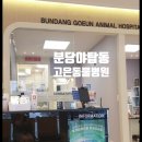 고은동물병원 이미지