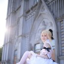 스테이 릴리 이미지