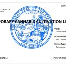 엔피팜(NP팜) 이미지