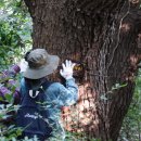 HY에너지 1호 이미지