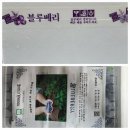 "줄리의 정원" 유기농 블루베리가 도착했어요~😍