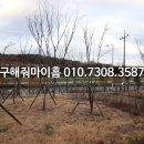 동부산삼정그린코아아파트 이미지