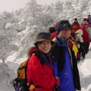 한라산약국 이미지