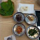 새포항 | 포항 현지인 물회 맛집 <새포항 물회집> 내 돈 내산 후기!!