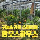 진영부동산공인중개사사무소 이미지