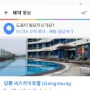 카페앤피자주문진440 이미지
