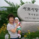 사회복지현장실습 이미지