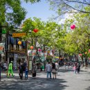 화이트홀 이미지