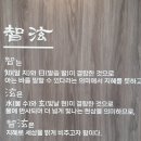 세무회계지현 이미지