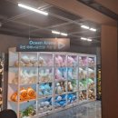 오션 아레나 이미지