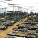 오현농장 이미지