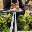 현강농장 이미지