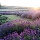 원도안로-27 이미지