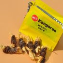 이소블랜딩 이미지