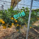 거성농장 이미지