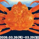 행정용 29 이미지