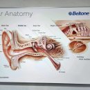 와이덱스보청기 사당점 이미지