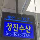 노량진수산시장맛집 성진수산 밀치 농어 회 포장 후기