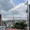 두찜 부산구포점 네이버블로그