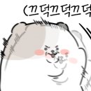 해뜨는바다펜션민박 이미지