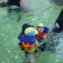 유수네분식 | 홍천 비발디파크 오션월드 겨울시즌 물온도 일요일 인파 먹거리 이용시설 솔직후기